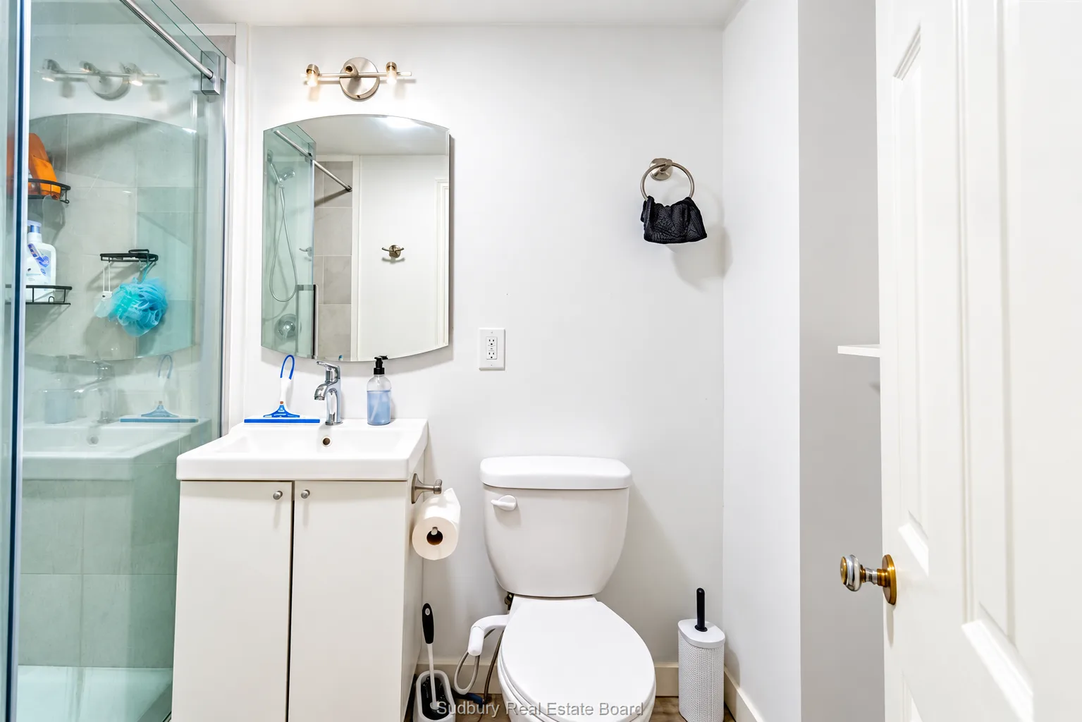 Lower apartment: bathroom with single vanity and glass shower